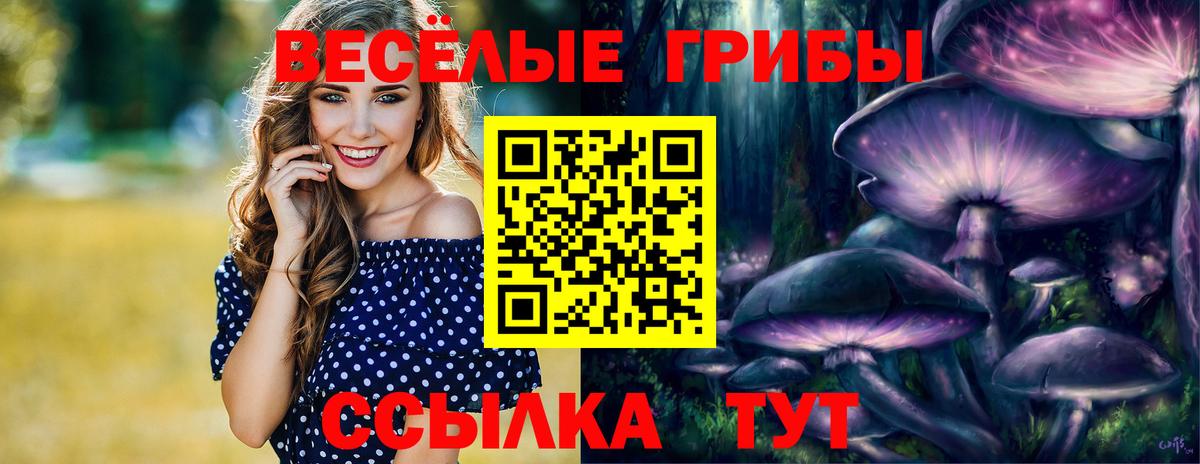 Галлюциногенные грибы Psilocybine cubensis  Галлюциногенные грибы Psilocybine cubensis  Вход с VPN  Егорьевск 